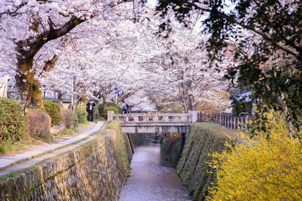 Nel paese del Sol Levante